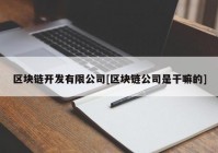 区块链开发有限公司[区块链公司是干嘛的]